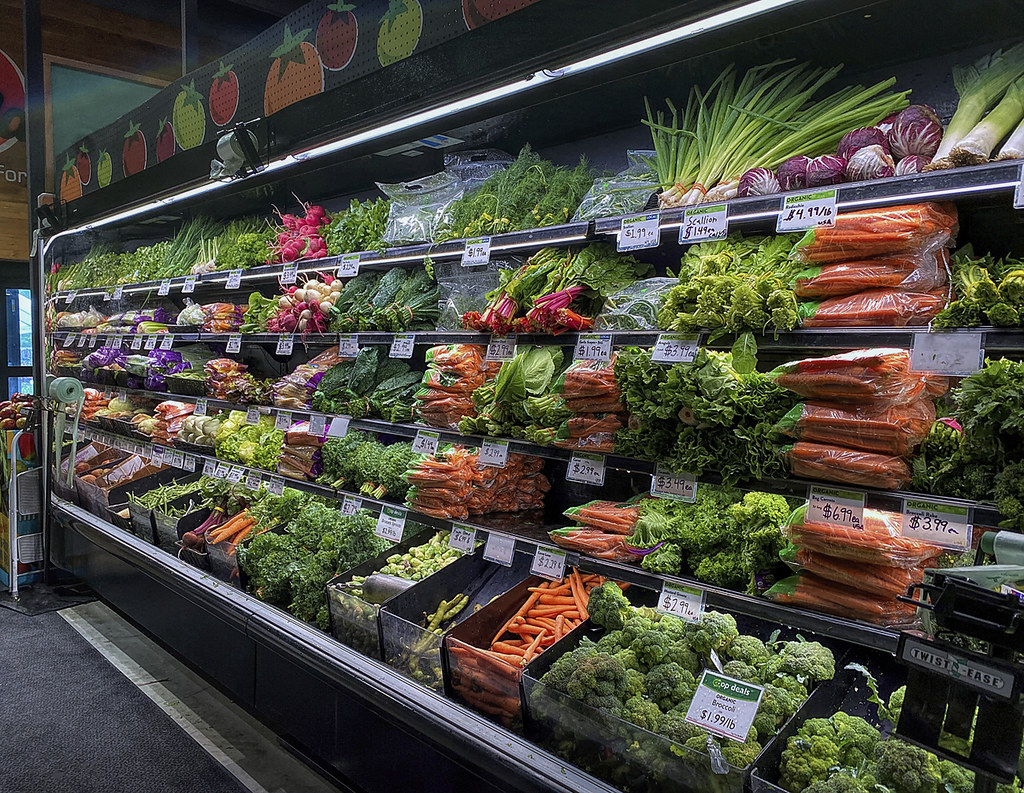 Sustainable Living Starts Here: Explore Holganic