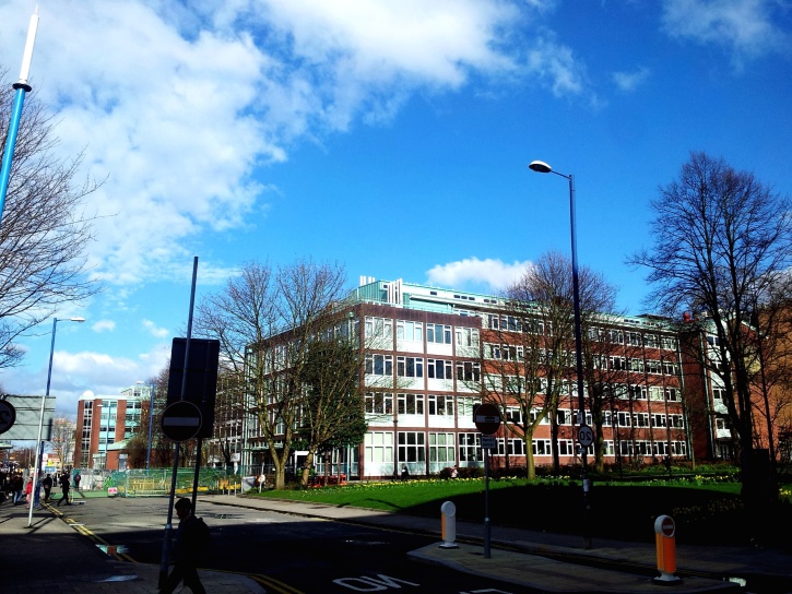 Jakarta Butuh Ahli Digital? Ada Tel-U!